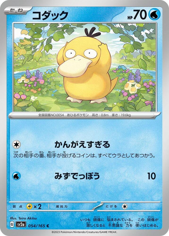 Psyduck (Common)