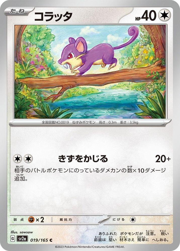 Rattata (Master Ball Pattern)