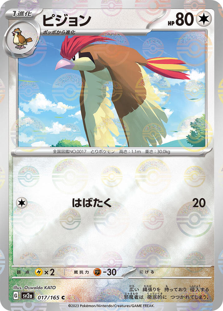 Pidgeotto (Poké Ball Pattern)