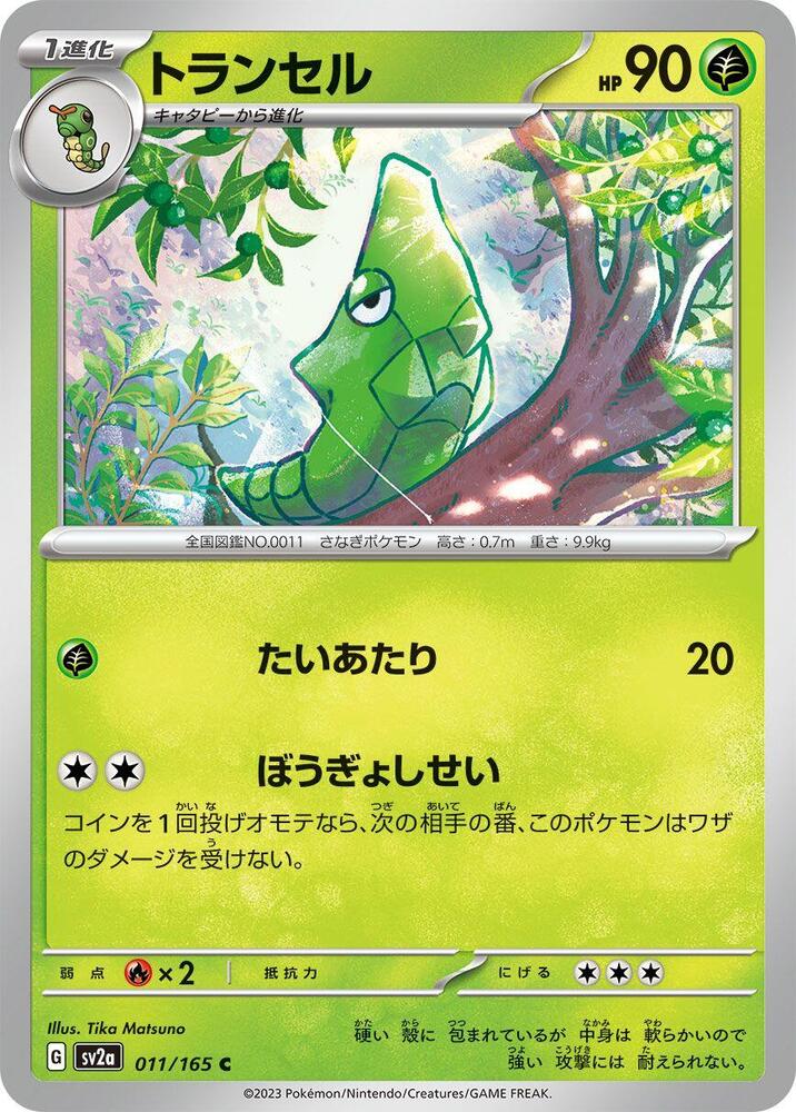 Metapod (Master Ball Pattern)