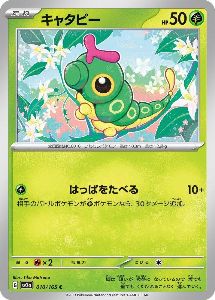 Caterpie (Common)
