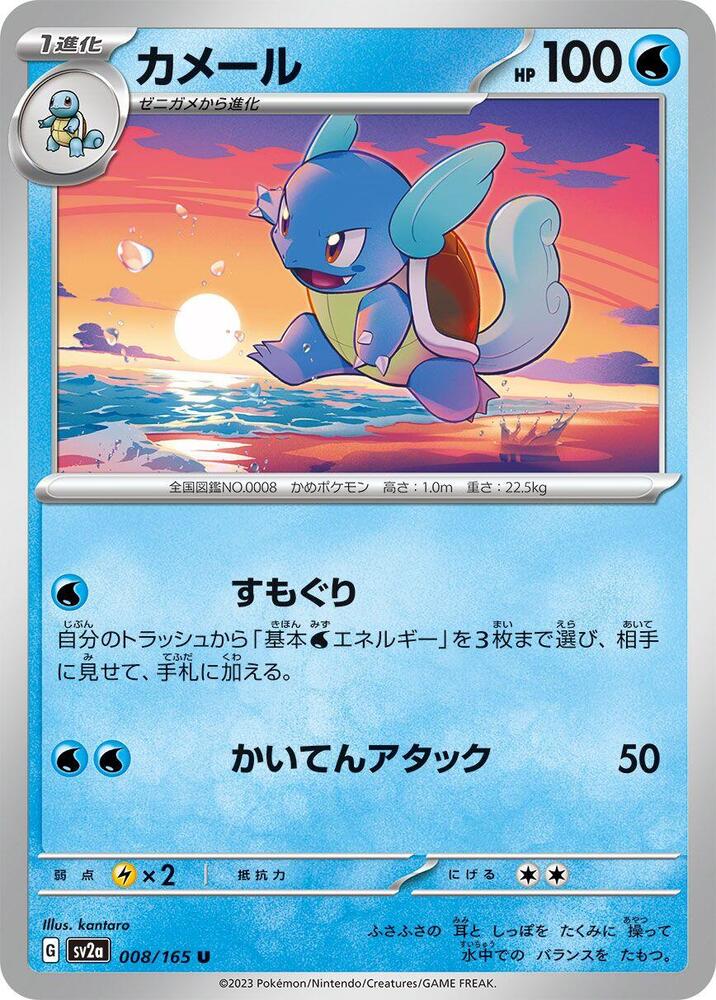 Wartortle (Master Ball Pattern)