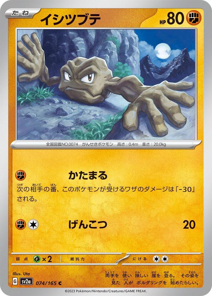 Geodude (Master Ball Pattern)