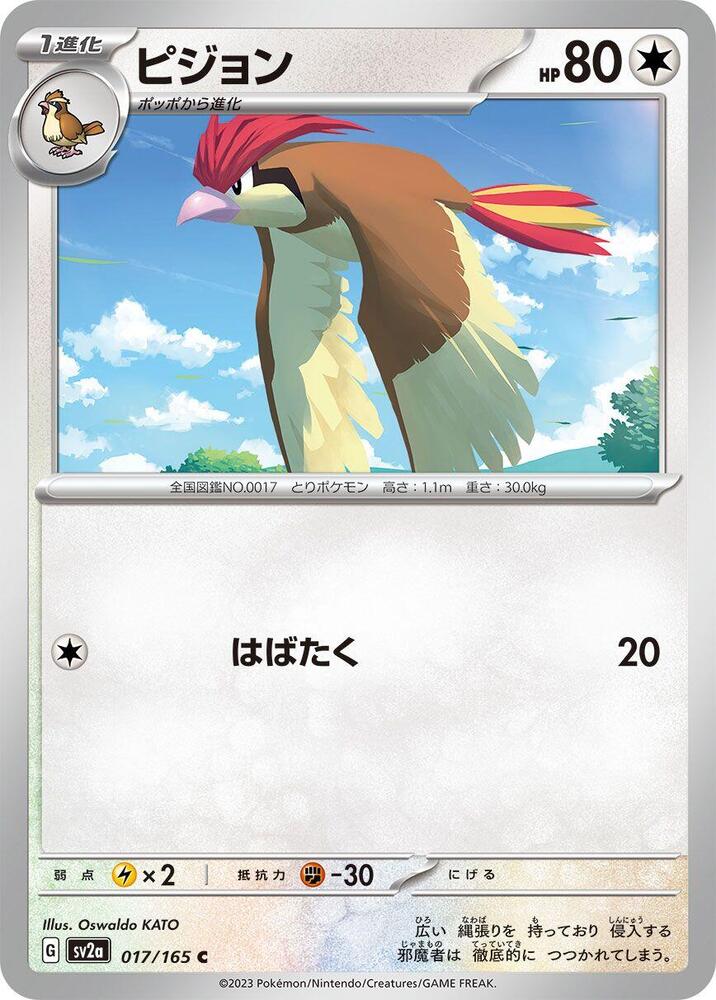 Pidgeotto (Master Ball Pattern)