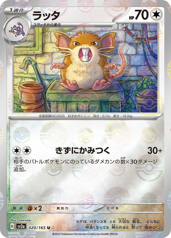 Raticate (Poké Ball Pattern)