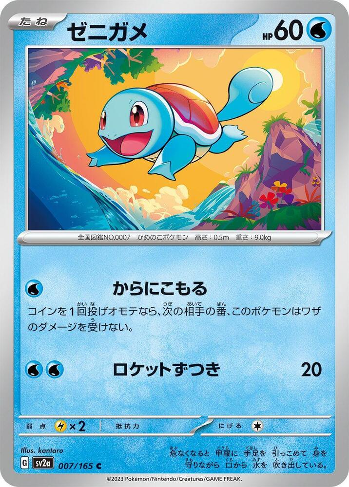 Squirtle (Master Ball Pattern)