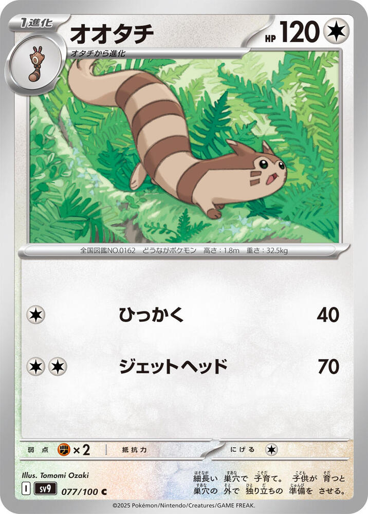 Furret (Common)