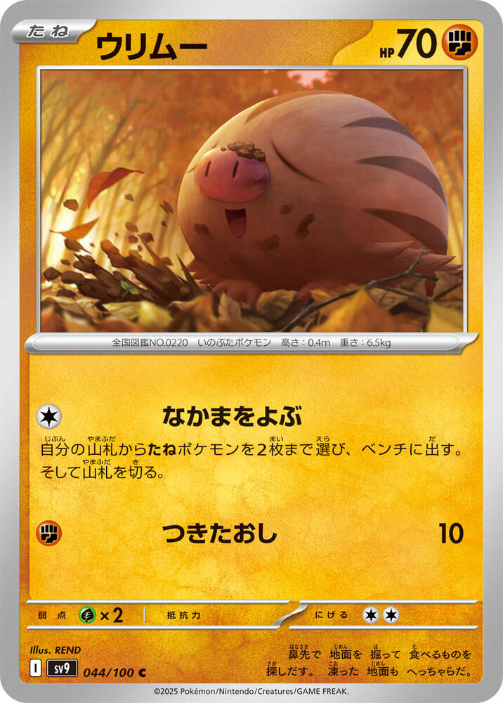 Swinub (Common)