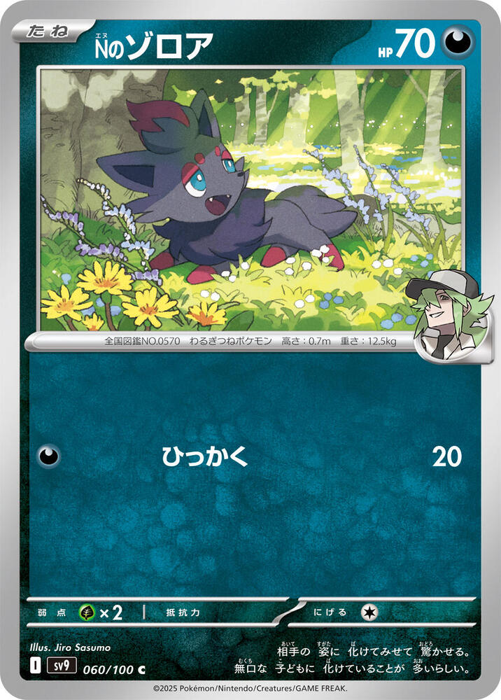 Ns Zorua (Common)