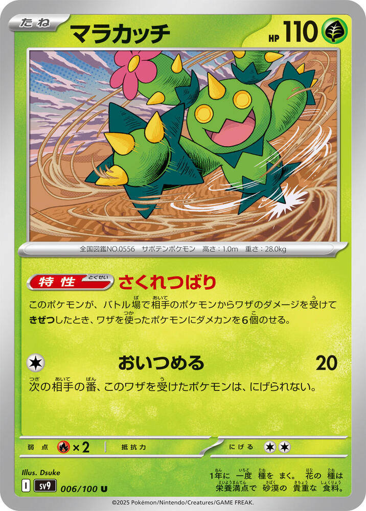 Maractus (Uncommon)