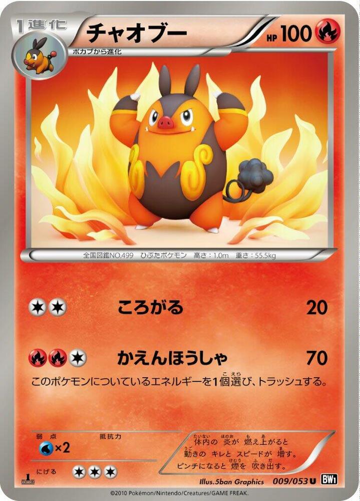 Pignite — Japanese Black Collection