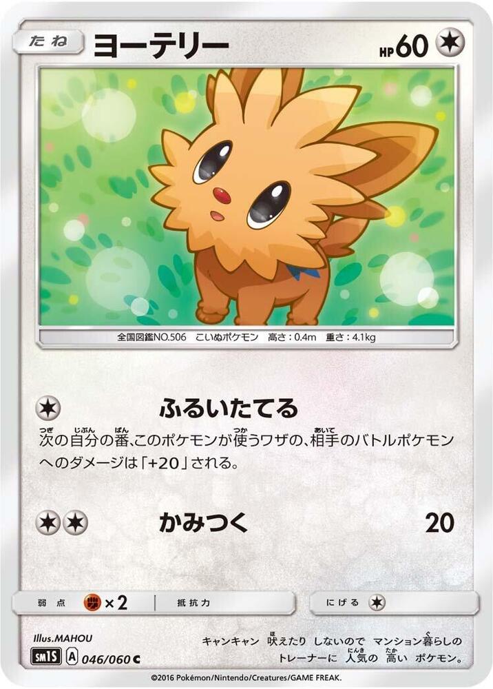 Lillipup — Japanese Collection Sun