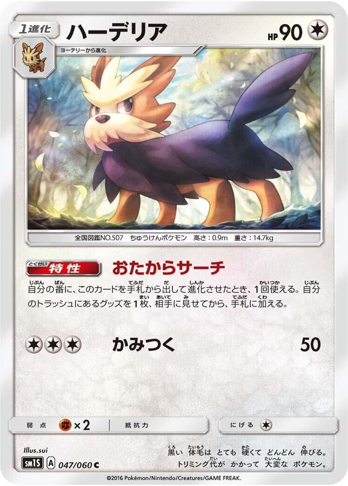 Herdier — Japanese Collection Sun