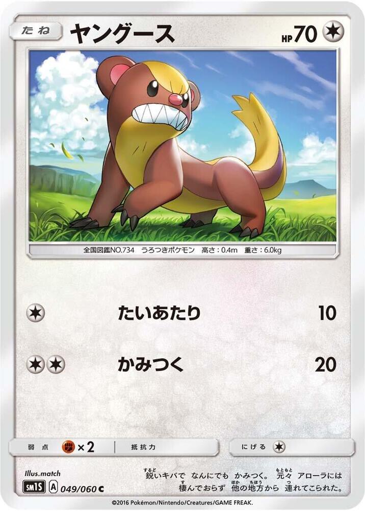 Yungoos — Japanese Collection Sun