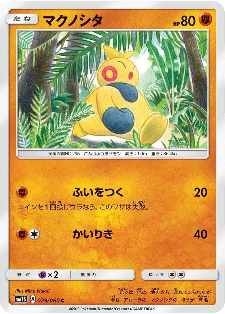 Makuhita — Japanese Collection Sun