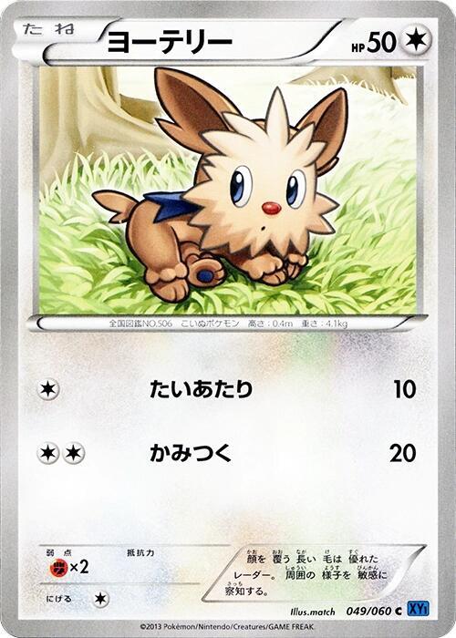Lillipup — Japanese Collection X