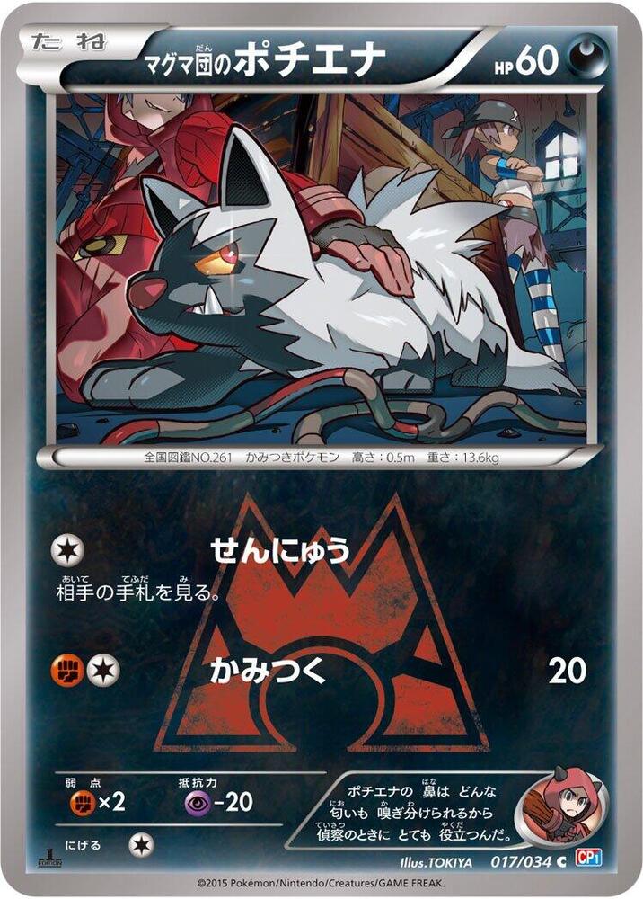Team Magmas Poochyena