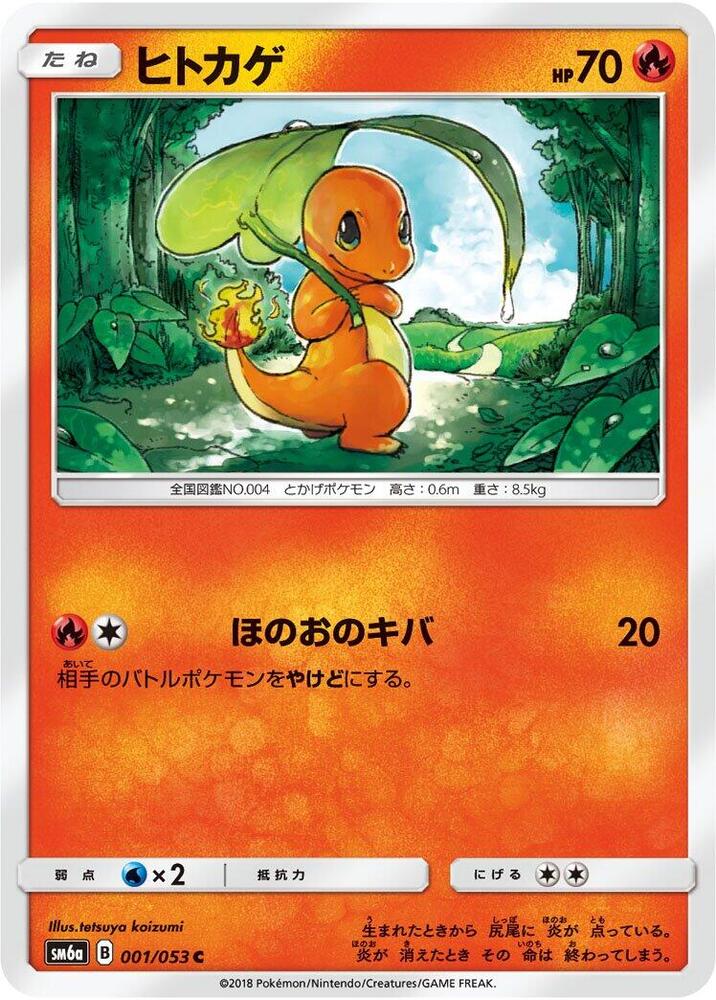 Charmander — Japanese Dragon Storm