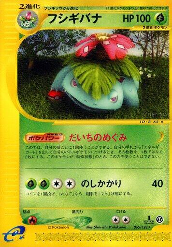 Venusaur (Rare) — Japanese Expedition