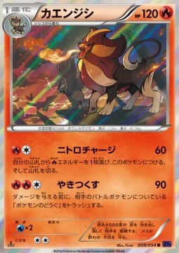Pyroar — Japanese Fever-Burst Fighter