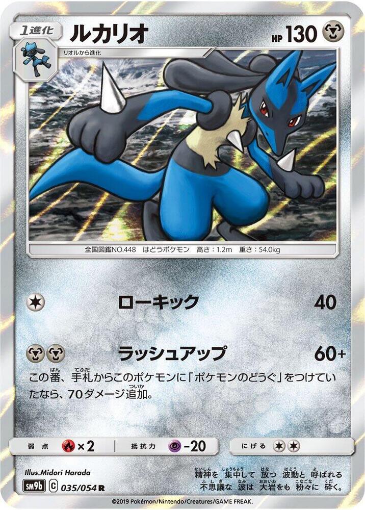 Lucario — Japanese Full Metal Wall