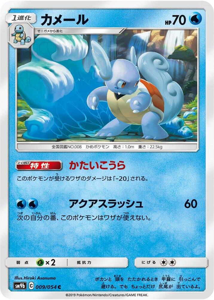 Wartortle — Japanese Full Metal Wall
