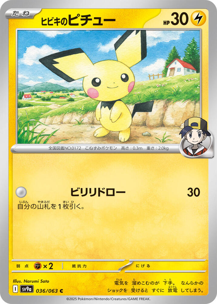 Ethans Pichu