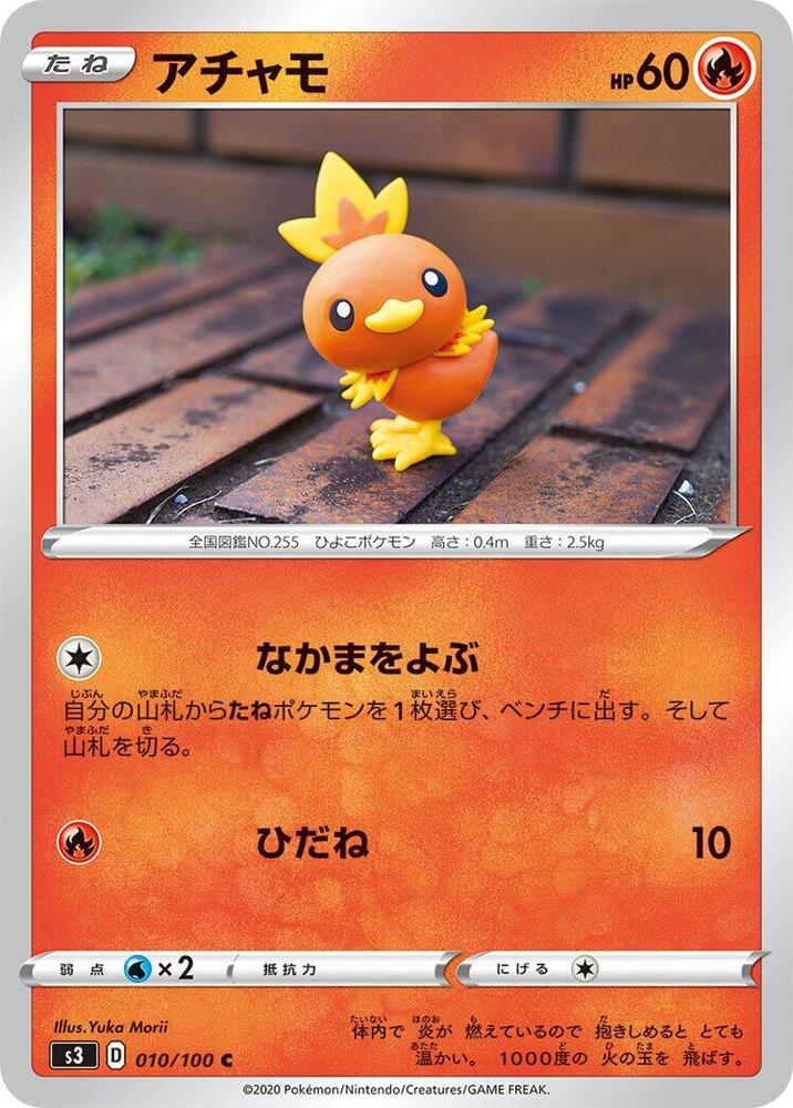 Torchic