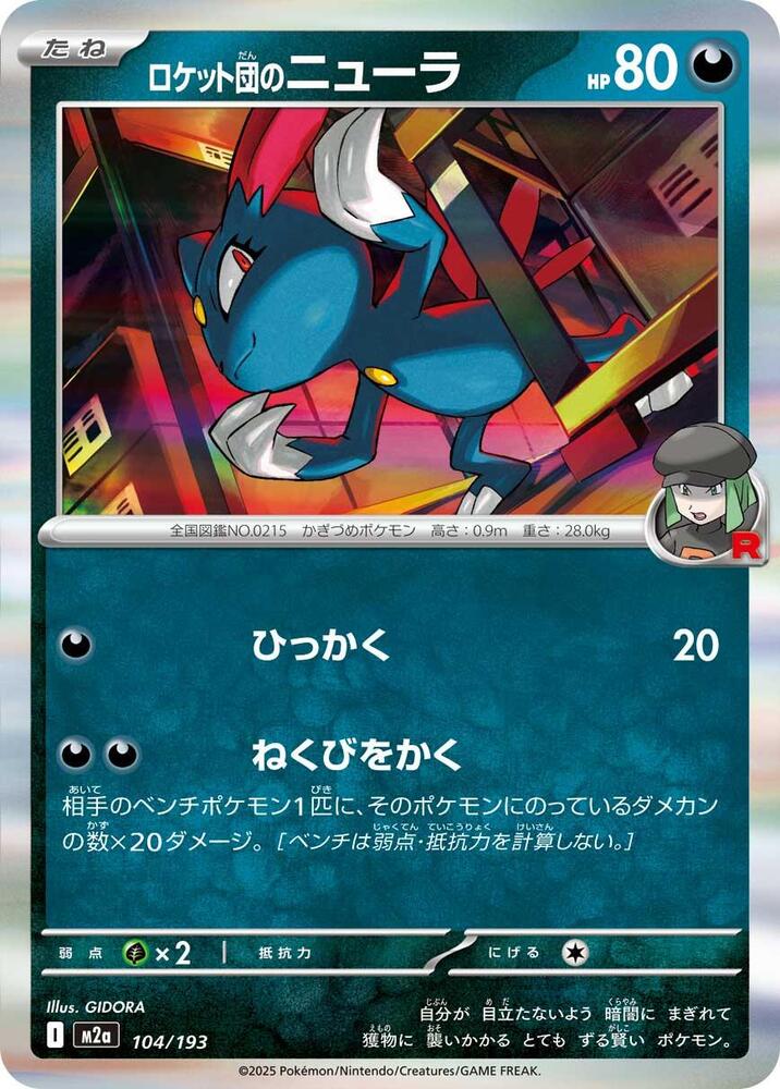 Team Rockets Sneasel