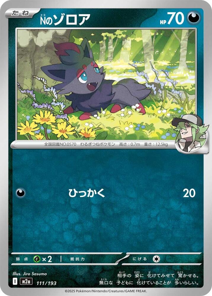 Ns Zorua Energy Symbol Pattern