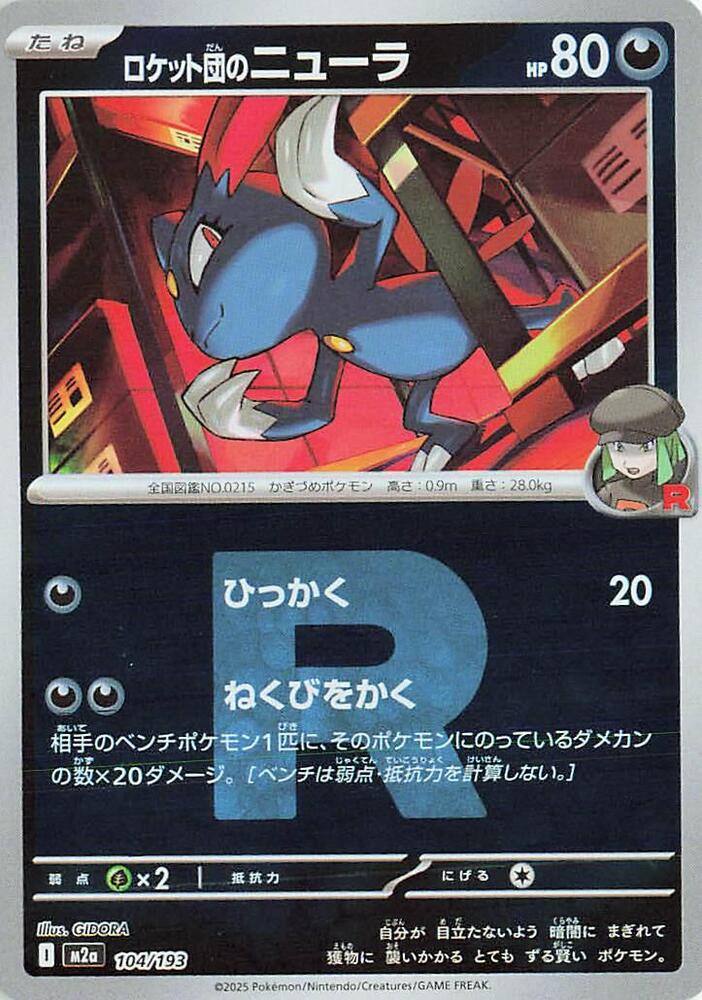 Team Rockets Sneasel (Team Rocket Pattern)