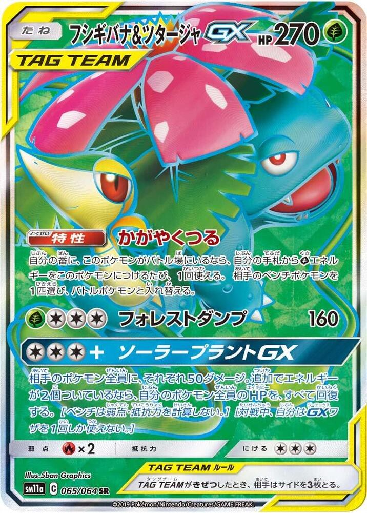 Venusaur & Snivy GX (65)