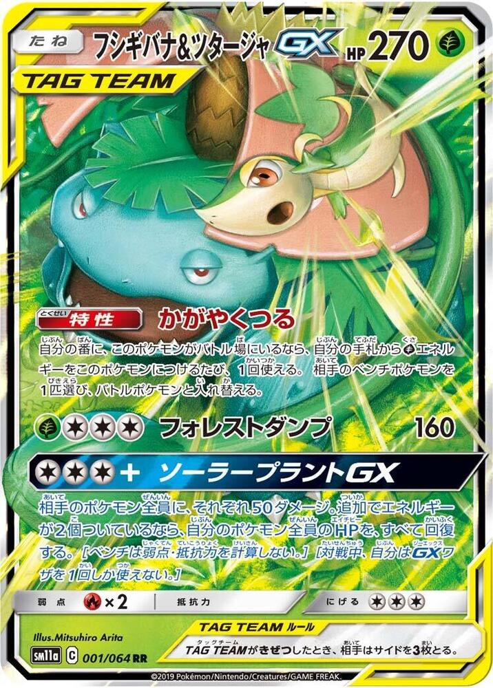 Venusaur & Snivy GX (1)
