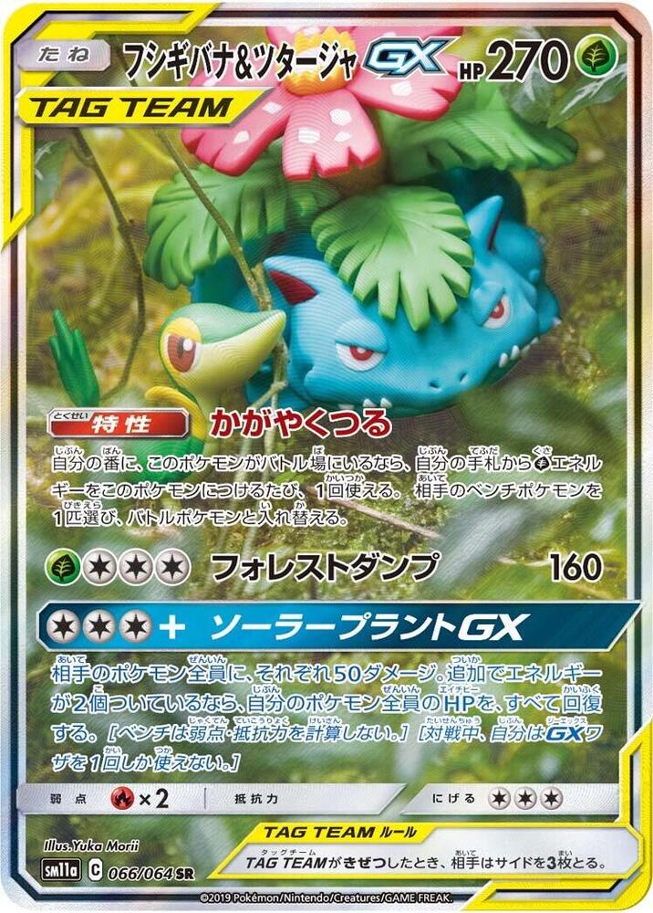 Venusaur & Snivy GX (66)