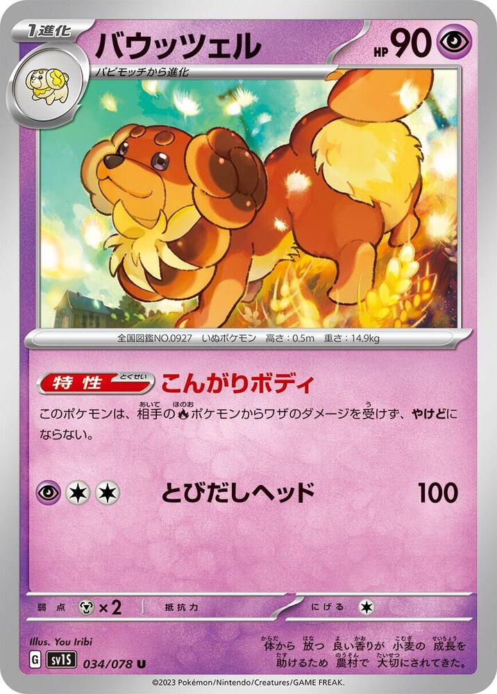 Dachsbun — Japanese Scarlet ex