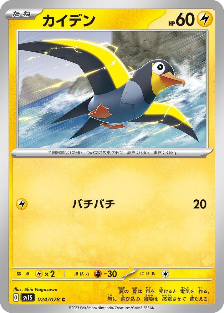 Wattrel (24)