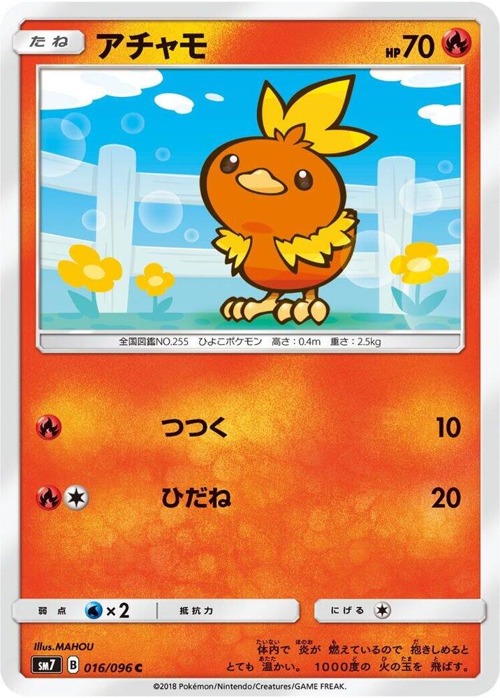 Torchic (16) — Japanese Sky-Splitting Charisma