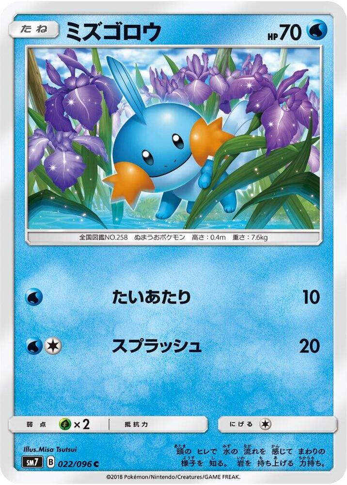 Mudkip (22) — Japanese Sky-Splitting Charisma