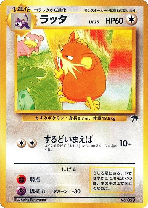 Raticate — Japanese Southern Islands