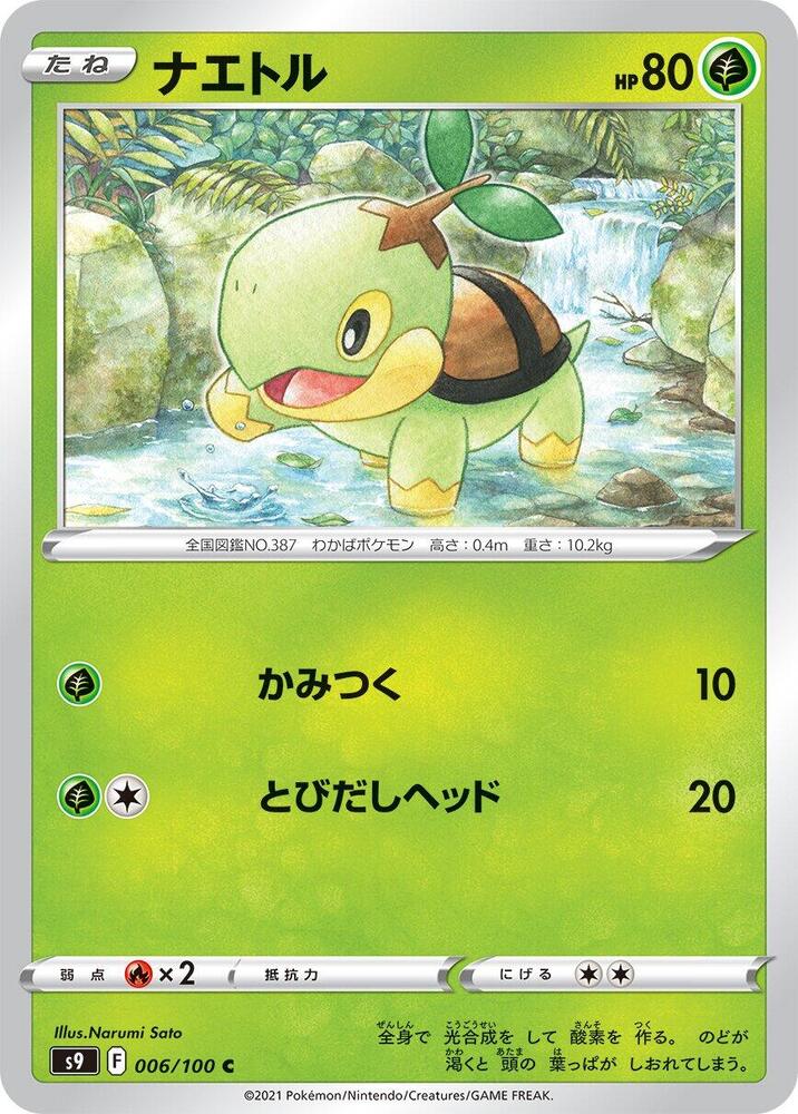 Turtwig — Japanese Star Birth