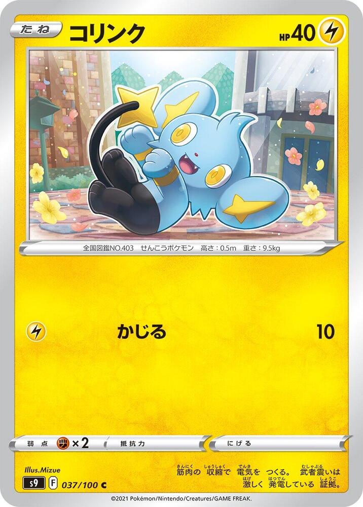 Shinx — Japanese Star Birth