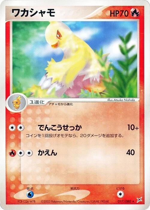 Combusken — Japanese Team Magma vs Team Aqua