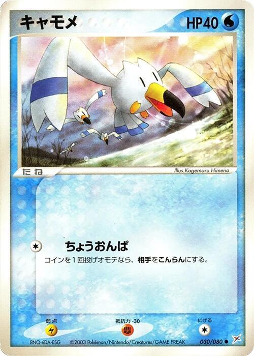 Wingull — Japanese Team Magma vs Team Aqua