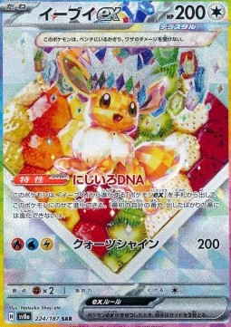 Eevee ex (224)