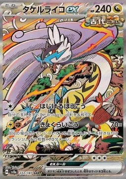Raging Bolt ex (222)