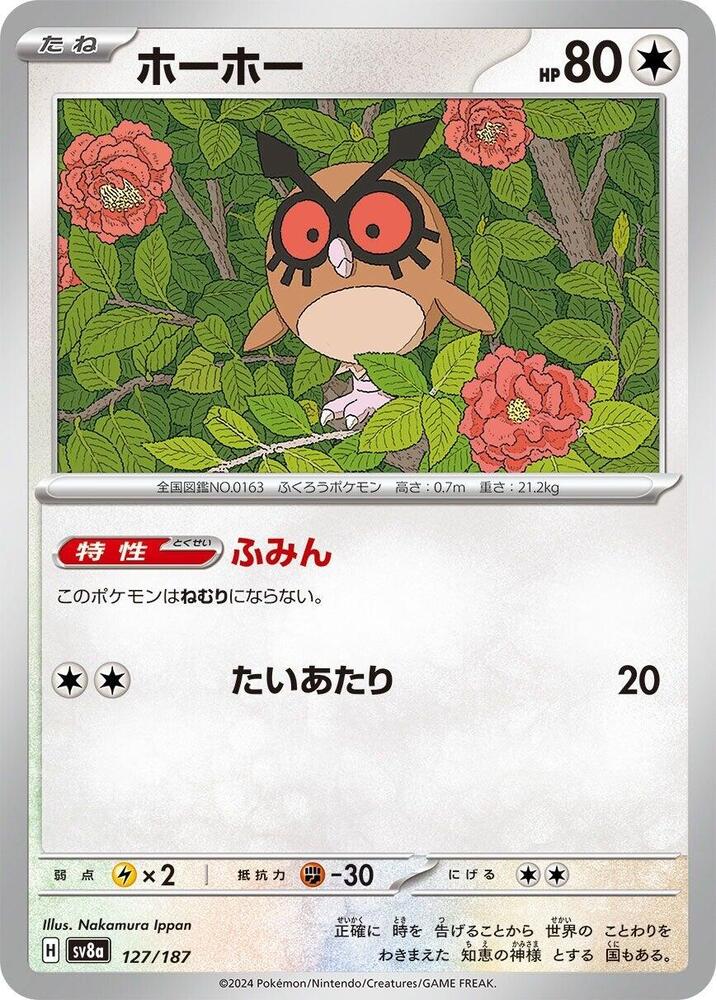 Hoothoot — Japanese Terastal Fest ex