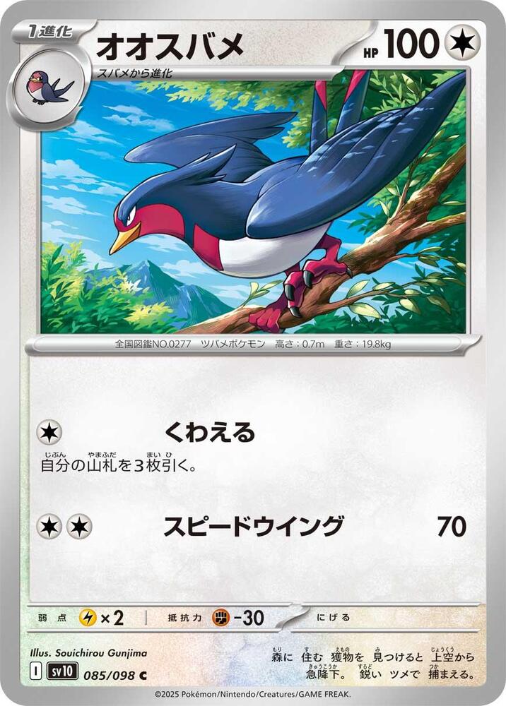 Swellow — Japanese The Glory of Team Rocket