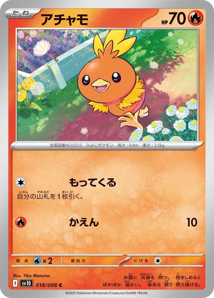 Torchic — Japanese The Glory of Team Rocket