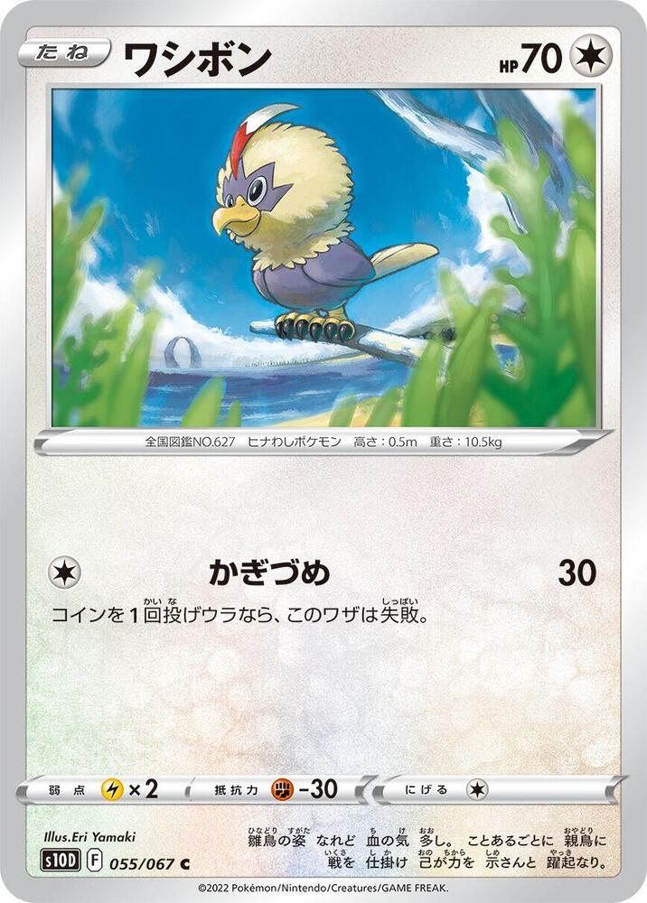 Rufflet — Japanese Time Gazer
