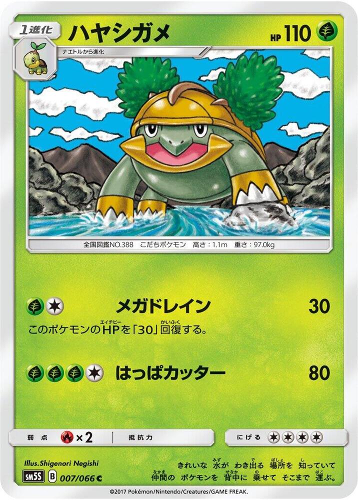 Grotle — Japanese Ultra Sun